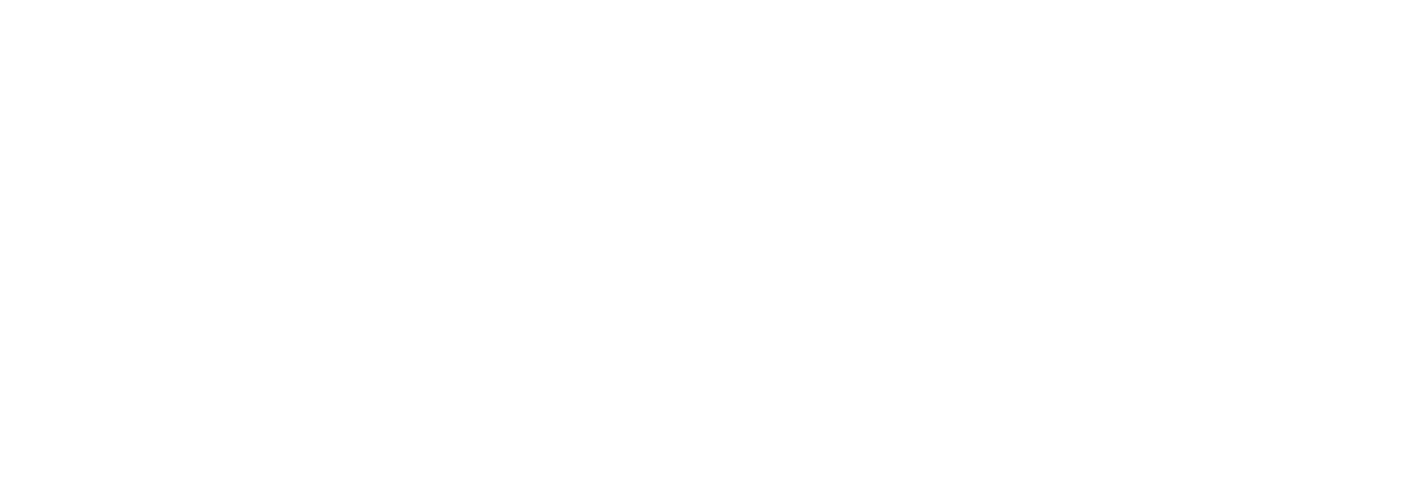 Bernerchemicals Logo